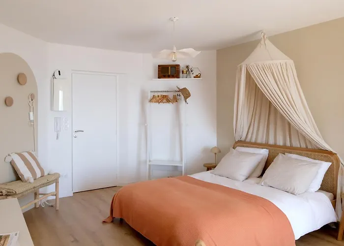 Appartement En Front De Mer Avec Vue Imprenable Sur La Grande Plage Des Sables D\'Olonne